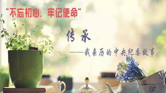 平原紀(jì)檢 執(zhí)紀(jì)問(wèn)責(zé)非文藝創(chuàng)作，求真務(wù)實(shí)方顯擔(dān)當(dāng)